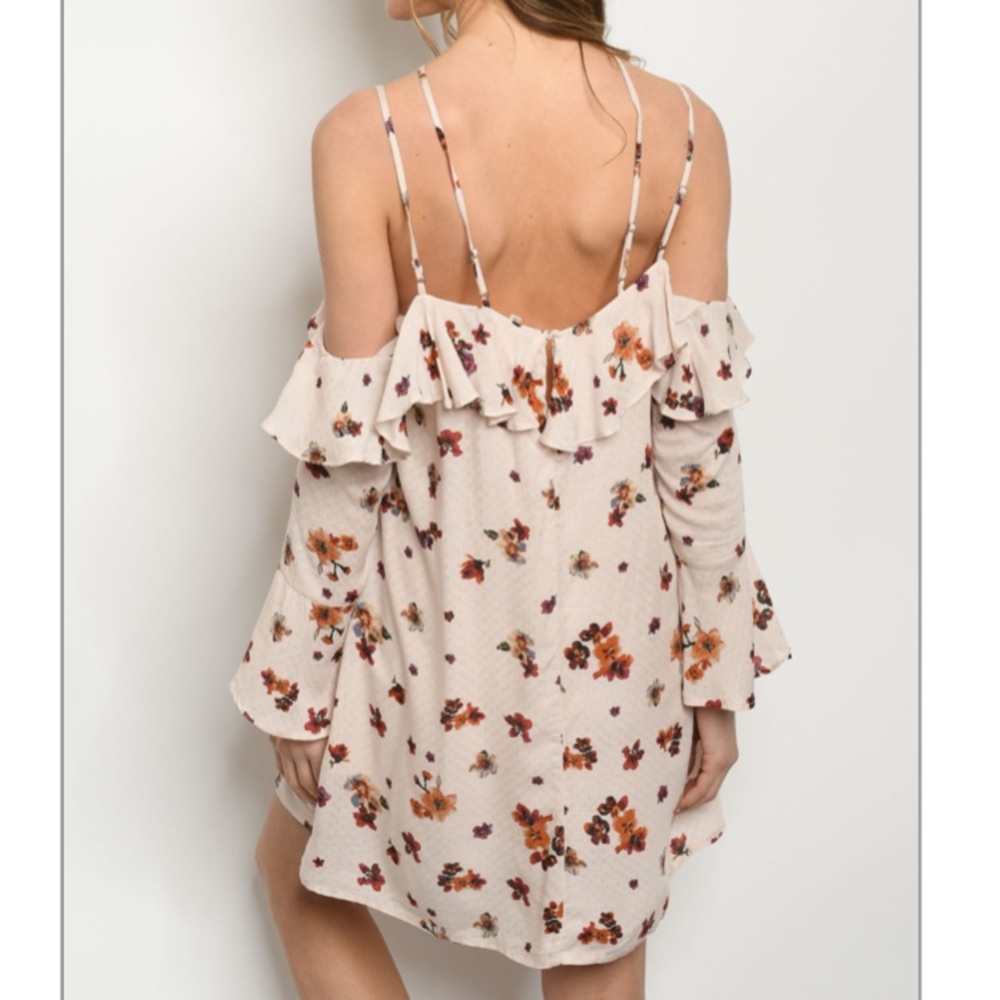 π Blush Floral Cod Shoulder Ruffle Dress - Picture 2 of 3
